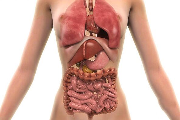 Parassiti nel corpo umano