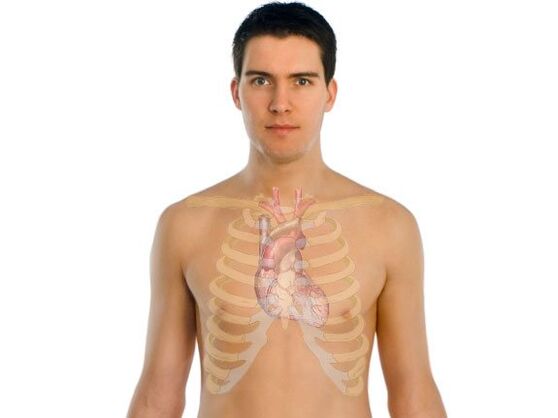 come i parassiti colpiscono gli organi umani