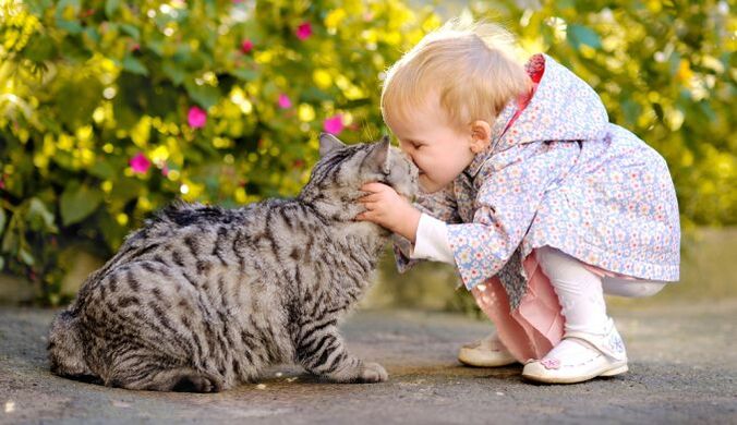 Un bambino bacia un gatto e viene infettato dai vermi